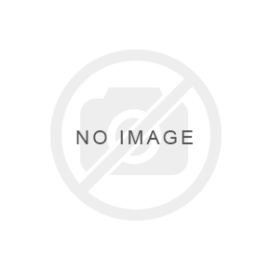 Picture of I-90 (Application to Replace Permanent Resident Card [Green Card])